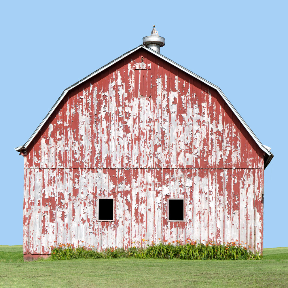 Lily Barn