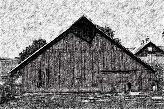 Barn Study #11