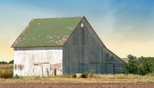 After The Harvest