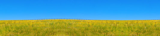Larkspur Fence