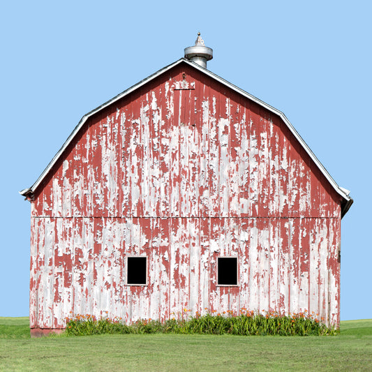 Lily Barn