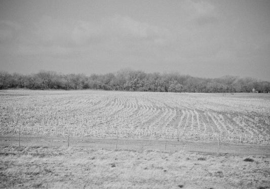 Furrowed Field