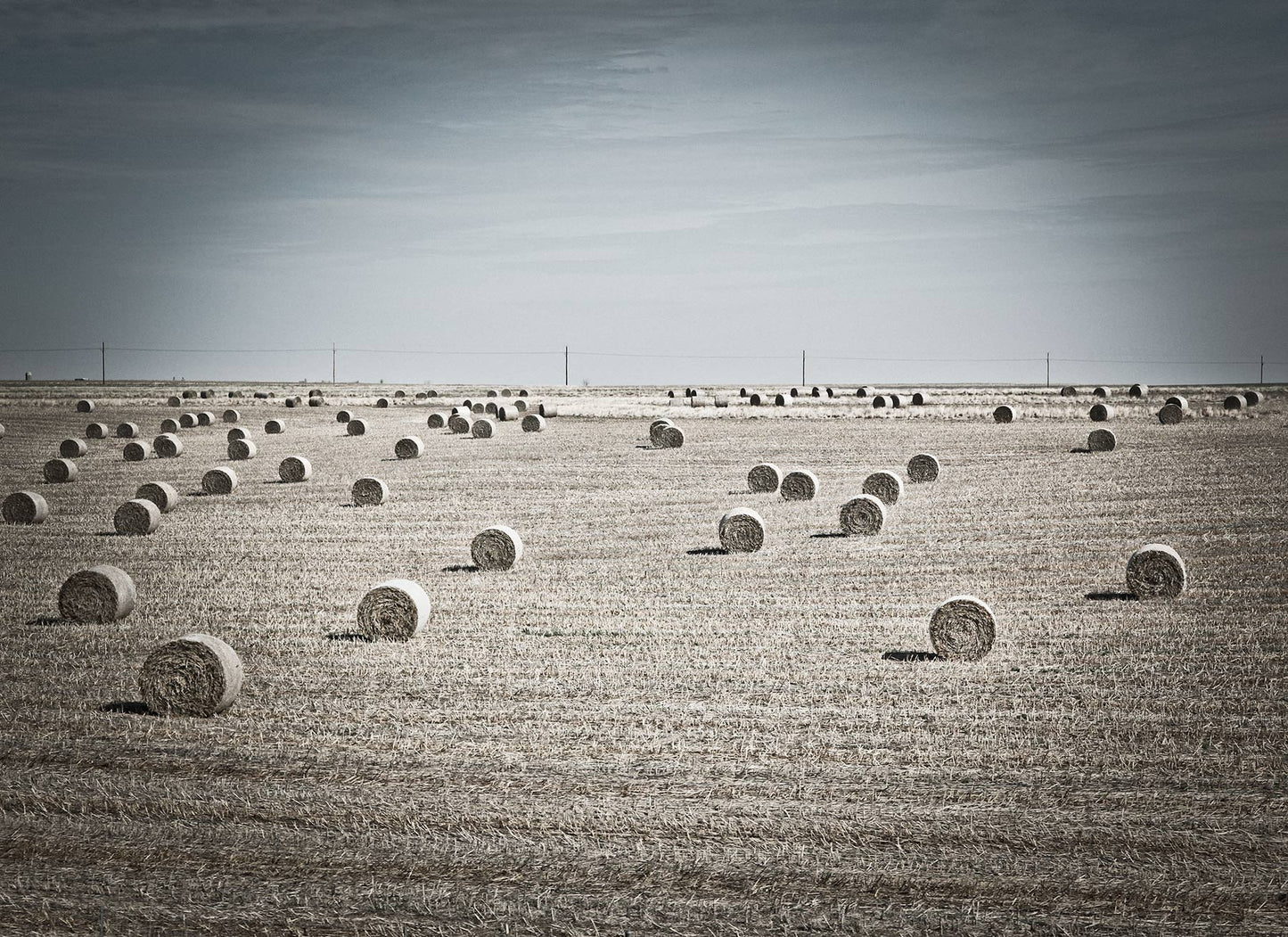 Hayfield #7