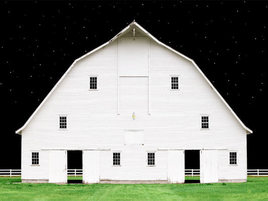 Under a Starry Night